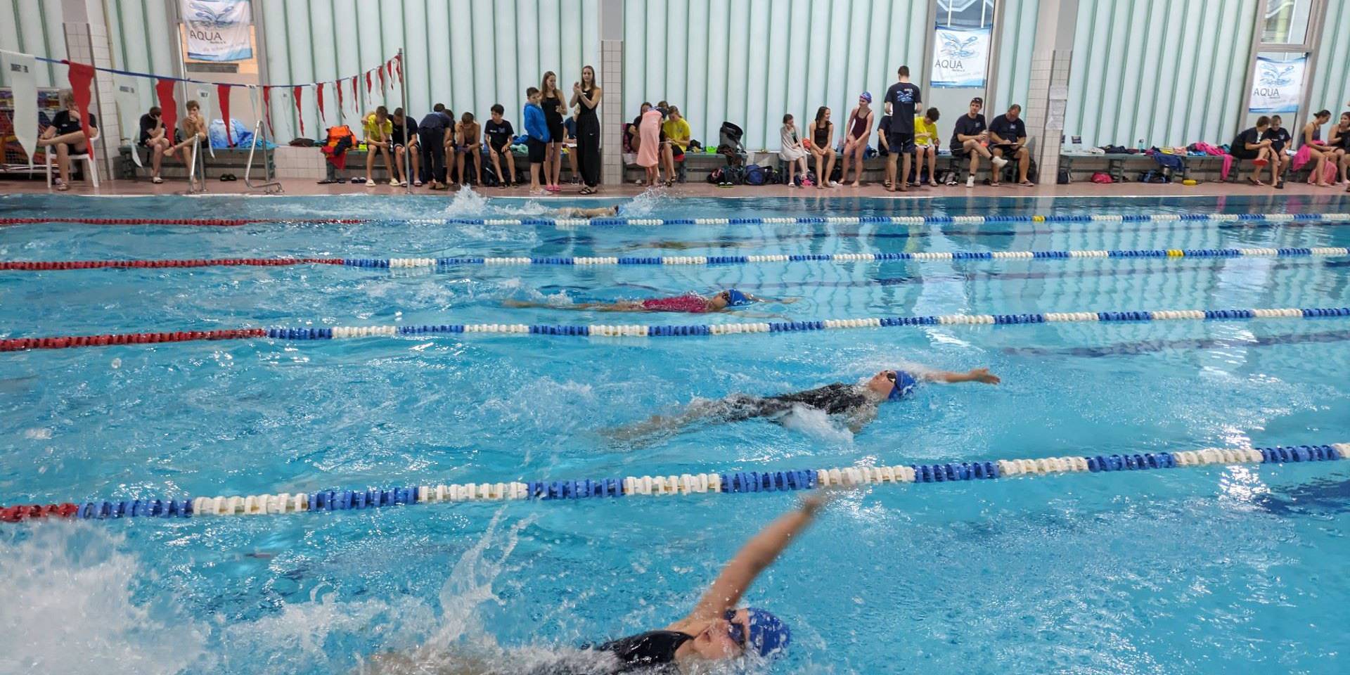 Rückenschwimmerinnen