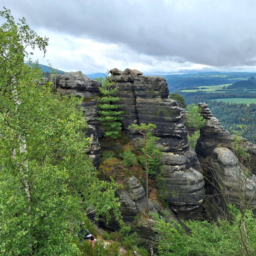 IMG-20240520-WA0020