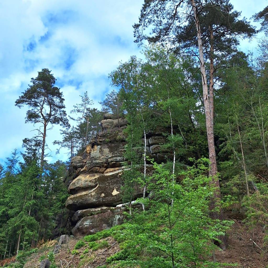 IMG-20240520-WA0045