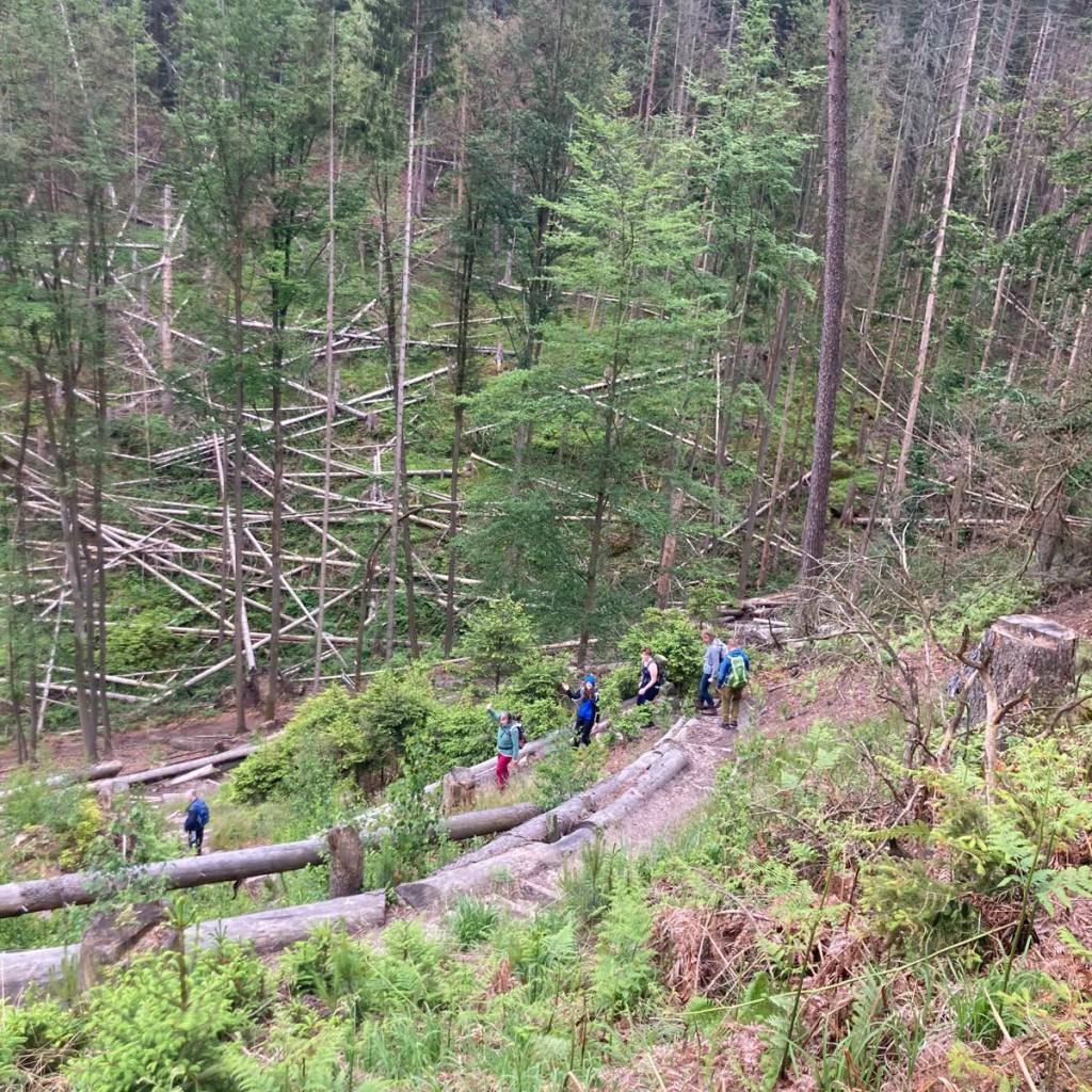 IMG-20240520-WA0071
