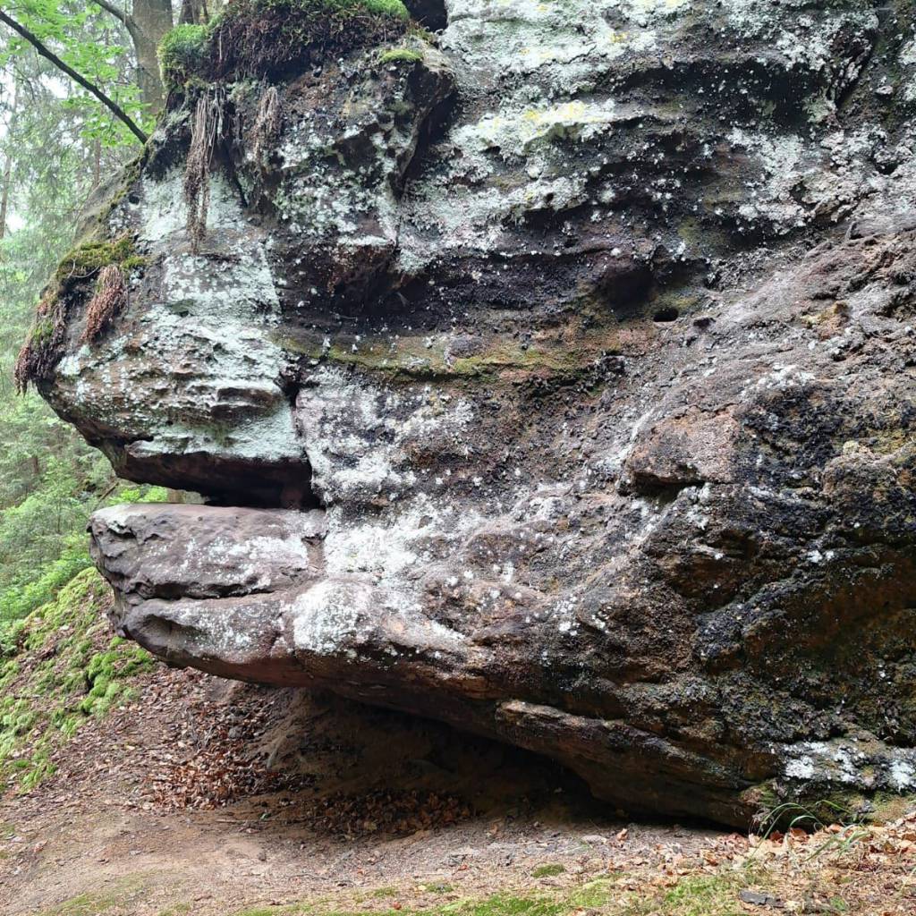 IMG-20240520-WA0084