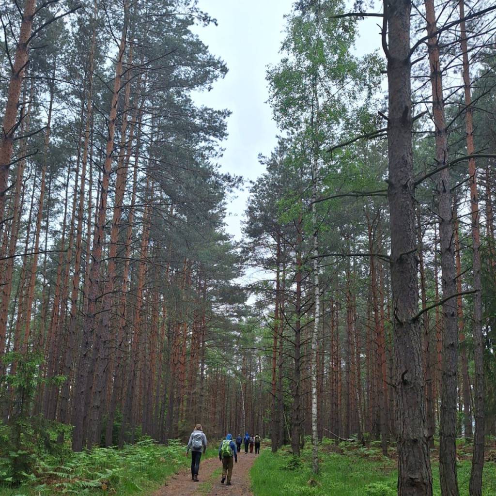 IMG-20240520-WA0095