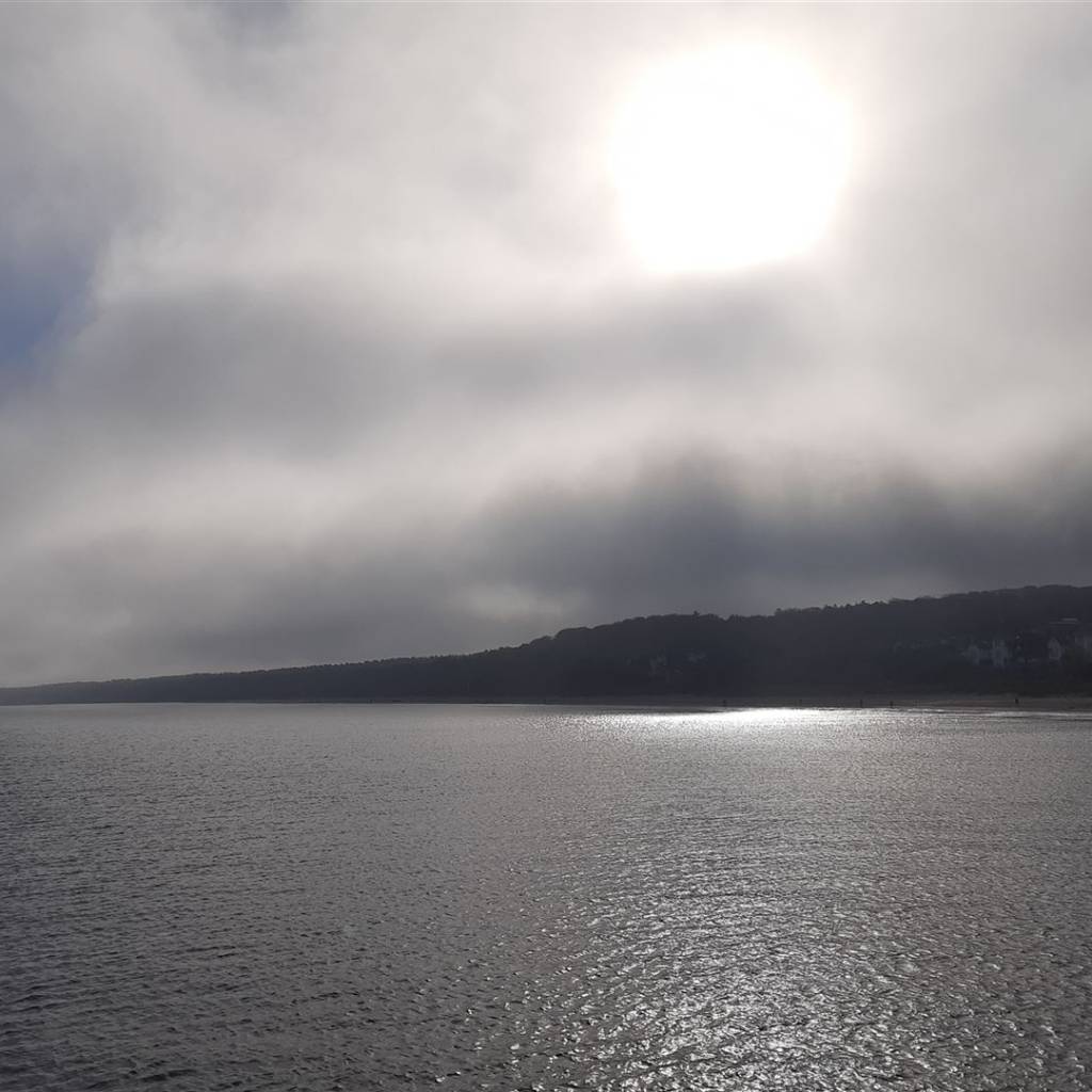 André_20241023_105901