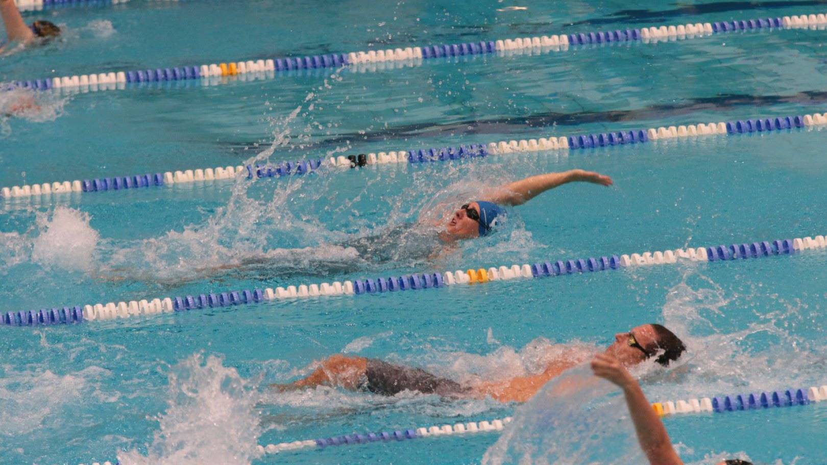 Rückenschwimmend im Wettkampf