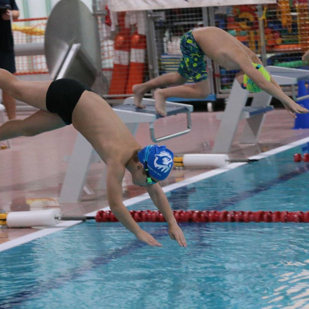 IMG_pokal2024 (142) (Groß)