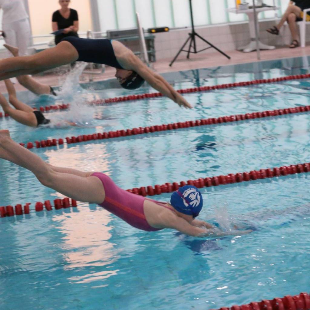 IMG_pokal2024 (224) (Groß)