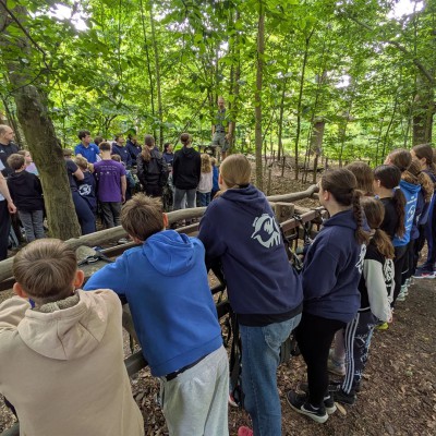 PXL_20250517_080738507