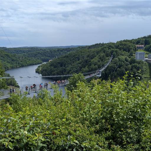 PXL_20250607_110956665.MP