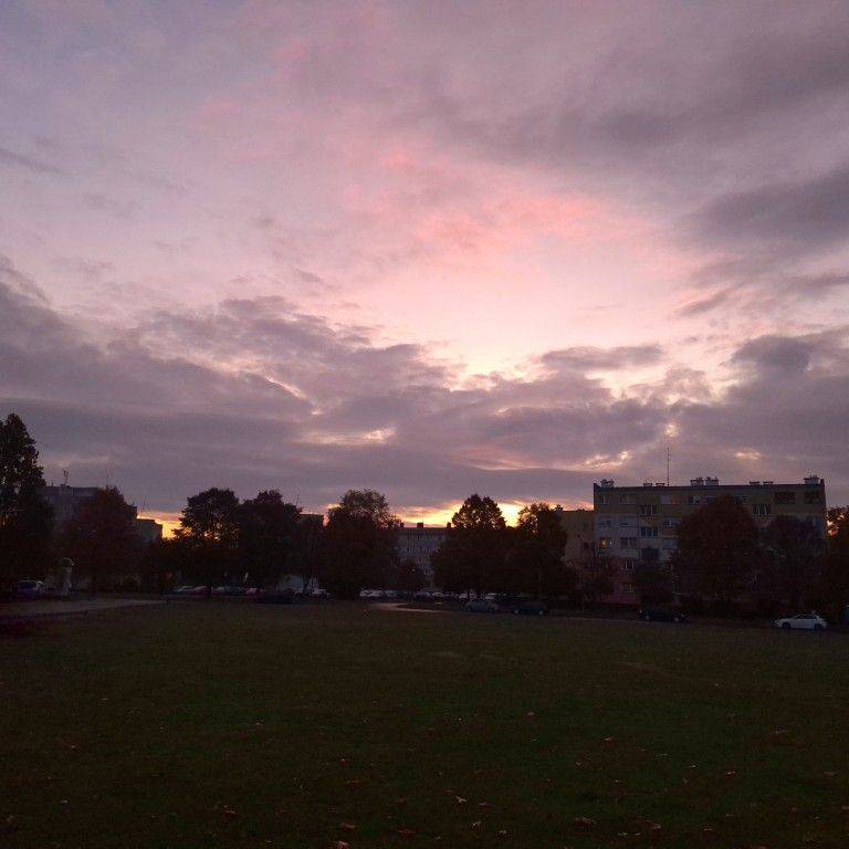 Katja_20251023_071806