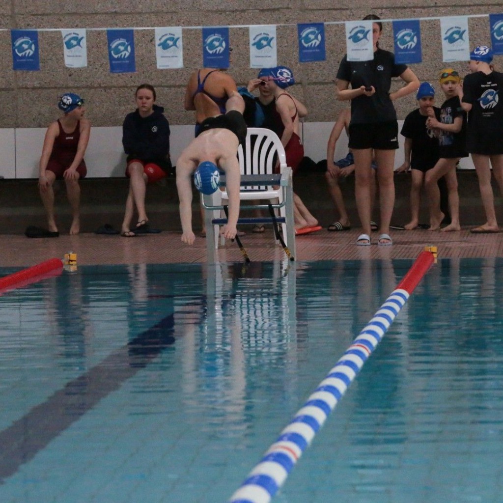 20260315 1041 Vms (Eckhard Herfet, Berlin) - 0275