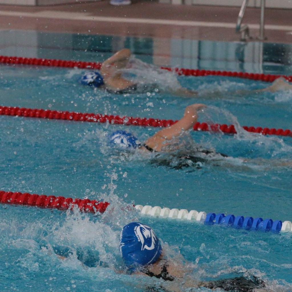 20260315 1047 Vms (Eckhard Herfet, Berlin) - 0301