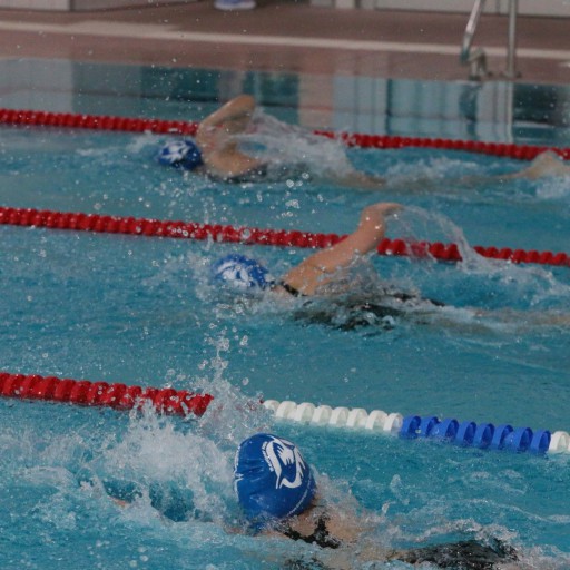 20260315 1047 Vms (Eckhard Herfet, Berlin) - 0301