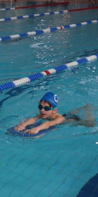 Eine Person schwimmt in einem Hallenbecken, umgeben von deutlichen, durchgezogenen Schwimmbahnen.