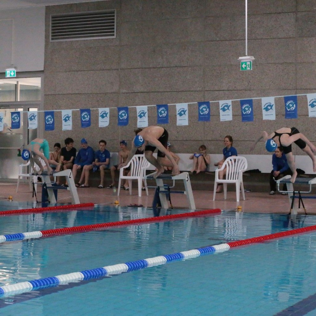 20260315 1125 Vms (Eckhard Herfet, Berlin) - 0408