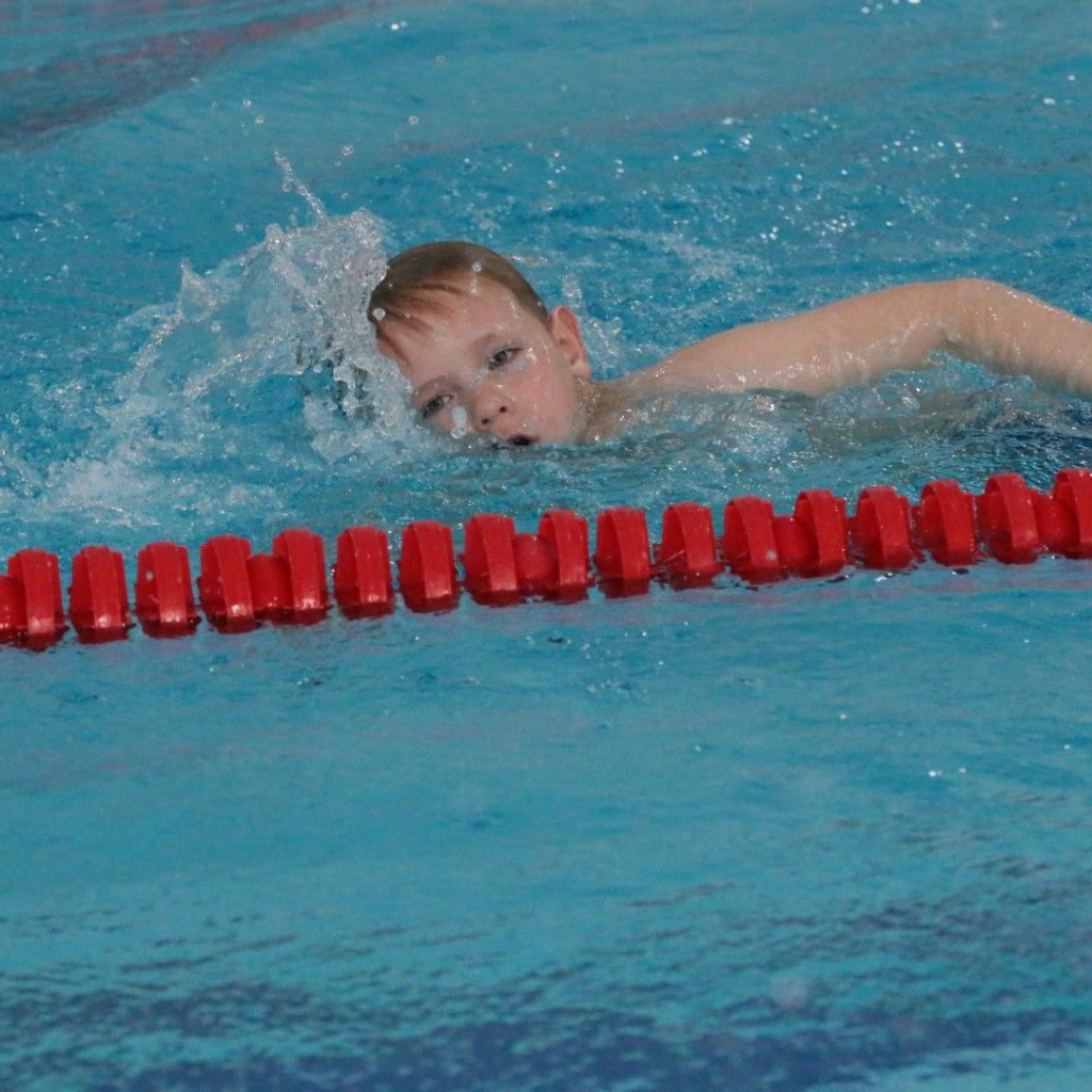 20260315 1143 Vms (Eckhard Herfet, Berlin) - 0541