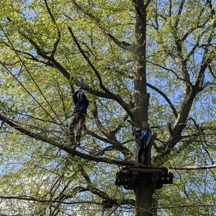 PXL_20260425_090640401