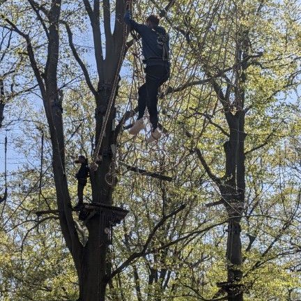 PXL_20260425_100620157