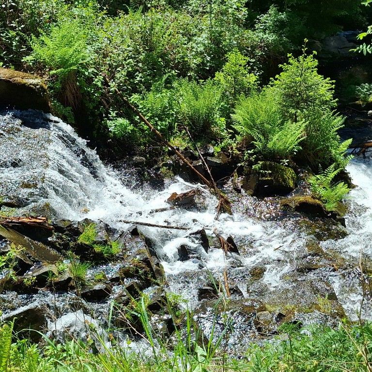 Katja_20260525_110733
