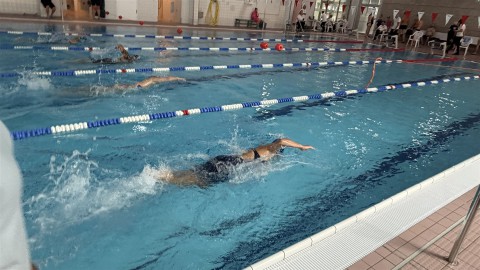 Ein Innenbecken mit mehreren Badegästen, die in verschiedenen Bahnen schwimmen.