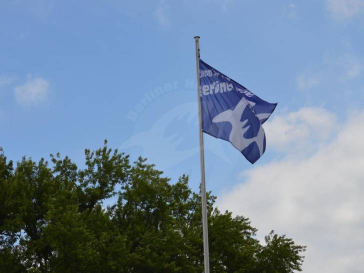 Beiträge